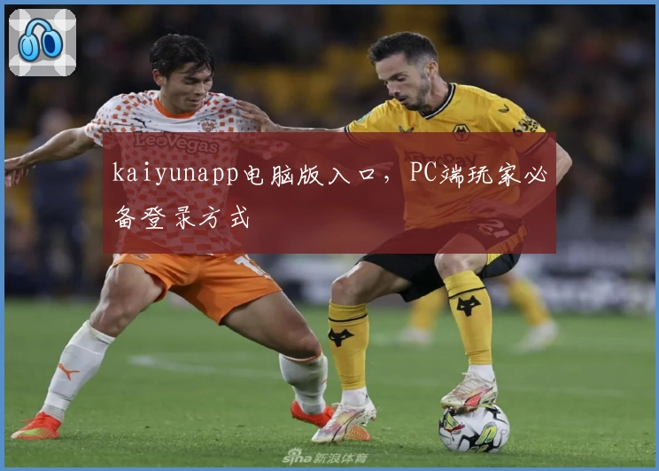 kaiyunapp电脑版入口，PC端玩家必备登录方式